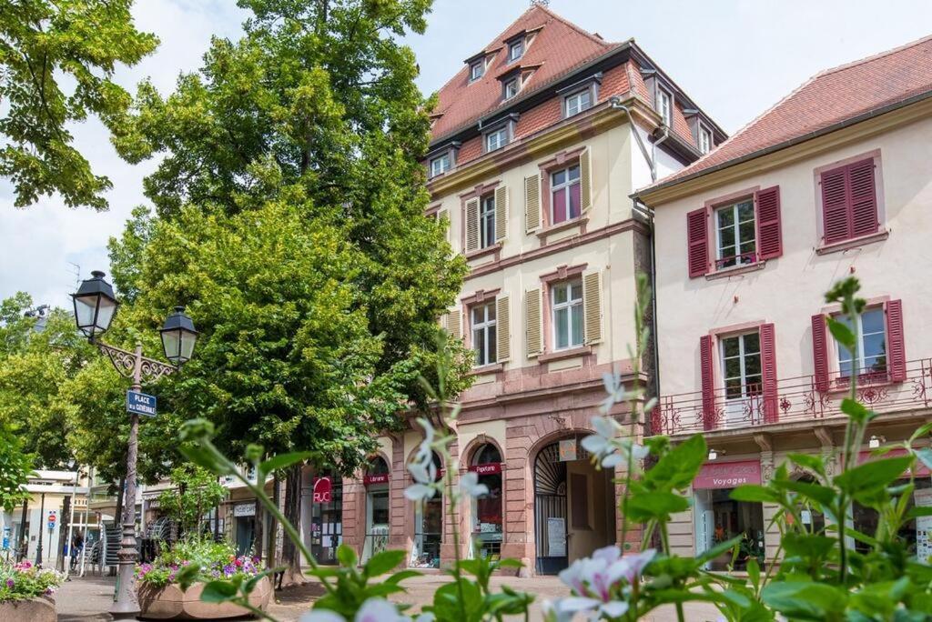Centre Historique Colmar La Collegiale Resort Bagian luar foto